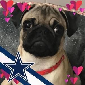 Meet your Posher, Tina